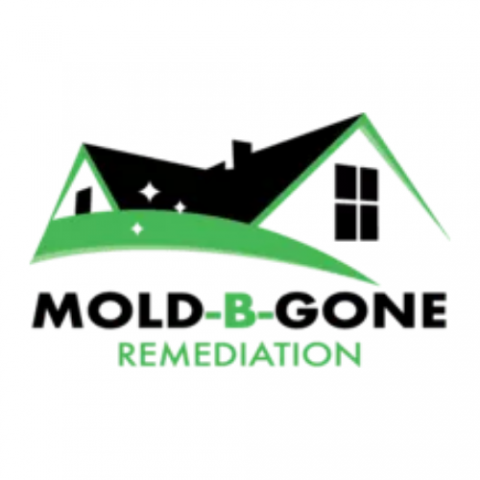 Mold-B-Gone