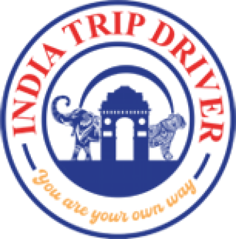 India trip driver