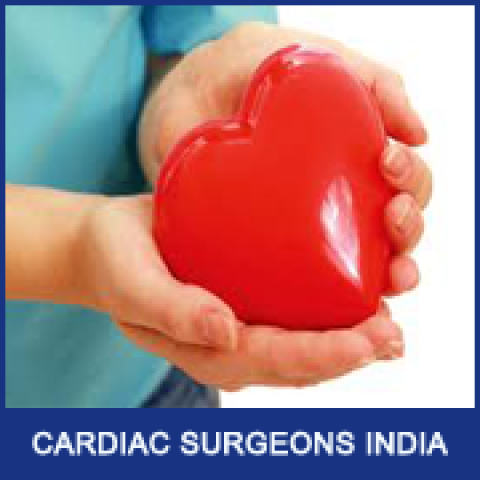 Best Cardiac Surgeon Fortis Hospital India