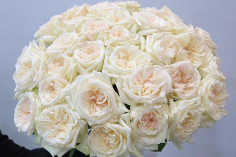 Buy Fresh Flower Bouquet