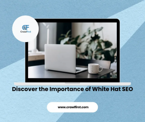 White Hat SEO Southampton