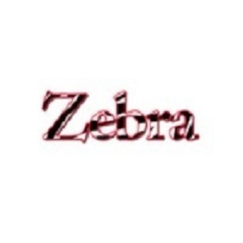 The Zebra Press