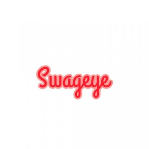 Swageye