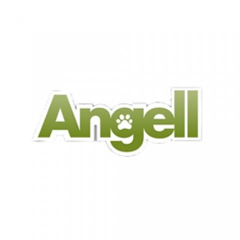 Angell Deer Labradors