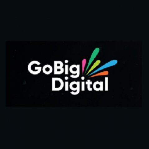 GoBig Digital Ltd