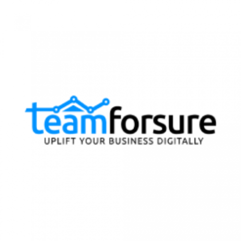 Teamforsure