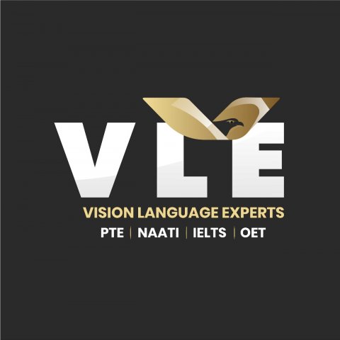 VisionLanguageExperts