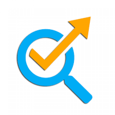 WowVisible Digital Marketing Services