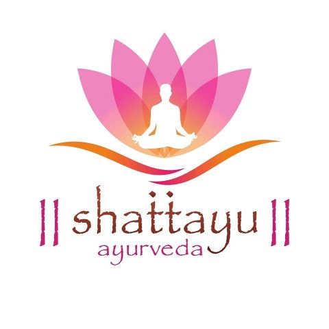 Patra Pinda Sweda Ayurvedic treatment - Shattayu Ayurveda