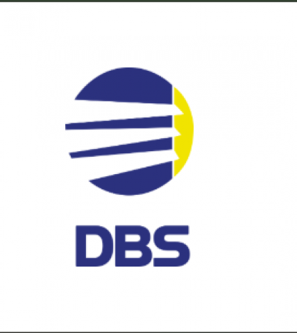 DBS Window Treatments