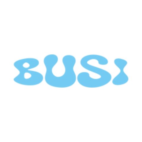 Busi Company