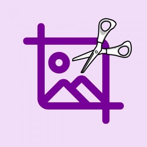 Image Resizer in Pixel