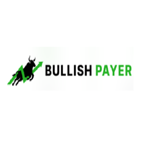 Bullish Payer Ltd