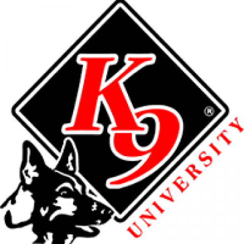K9 University Dog Training OKC