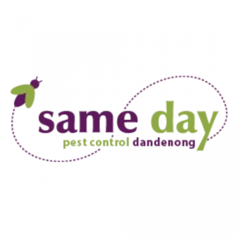 Same Day Pest Control Dandenong