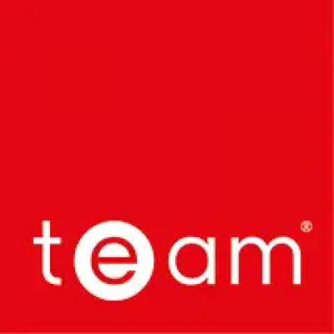 TEAM Energy