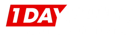 1 Day Junk