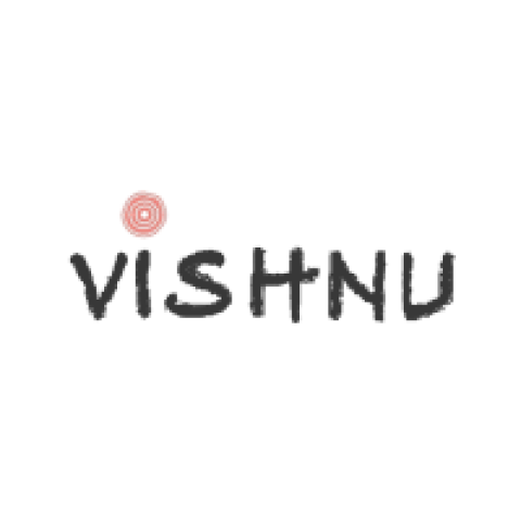 The vishnu store