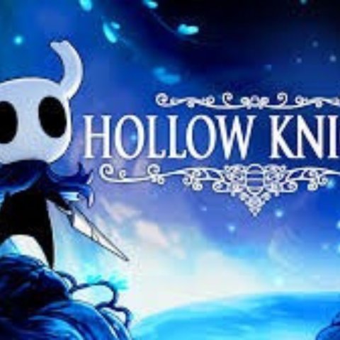 hollow knight