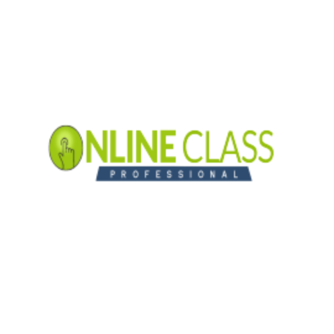 Online Class Professional