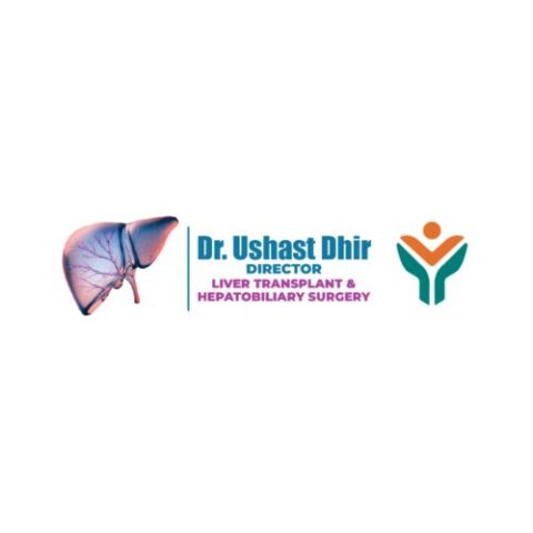 https://weboworld.com/pictures/logo/6a/6a1a7743e293a.jpg