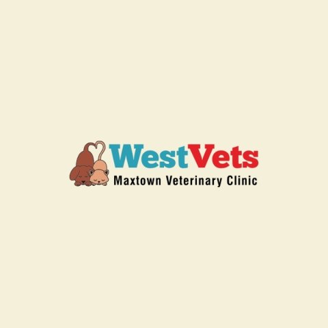https://weboworld.com/pictures/logo/6a/6a2a62ff0e5df.jpg