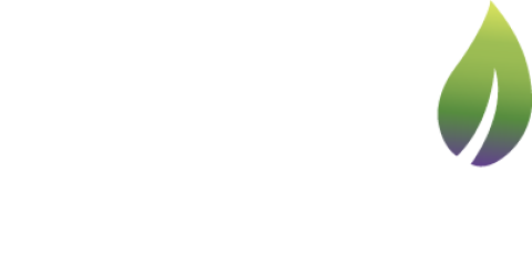 https://weboworld.com/pictures/logo/6a/6a53d4c92e08f.png