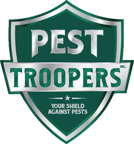 https://weboworld.com/pictures/logo/6a/6a60cda0c4622.png
