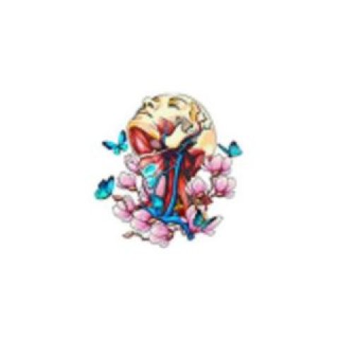 https://weboworld.com/pictures/logo/6a/6a61c4d788cd2.jpg