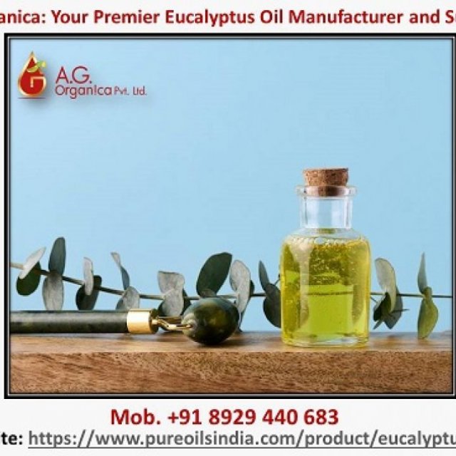 AG Organica: Your Premier Eucalyptus Oil Manufacturer and Supplier