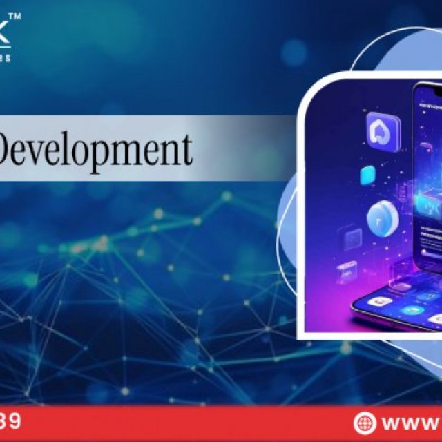 Duplex Technologies Services Pvt Ltd