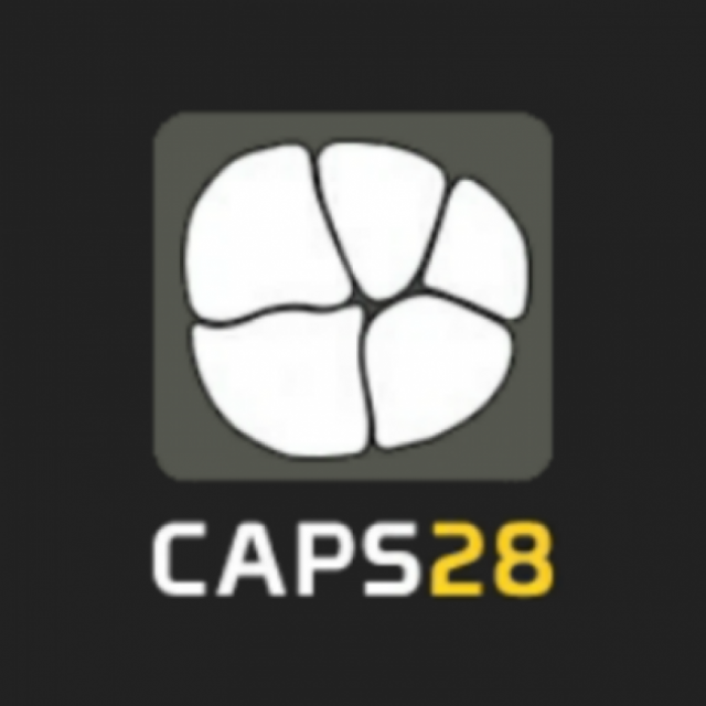 CAPS28 (Computing Assisted Practice Solutions)