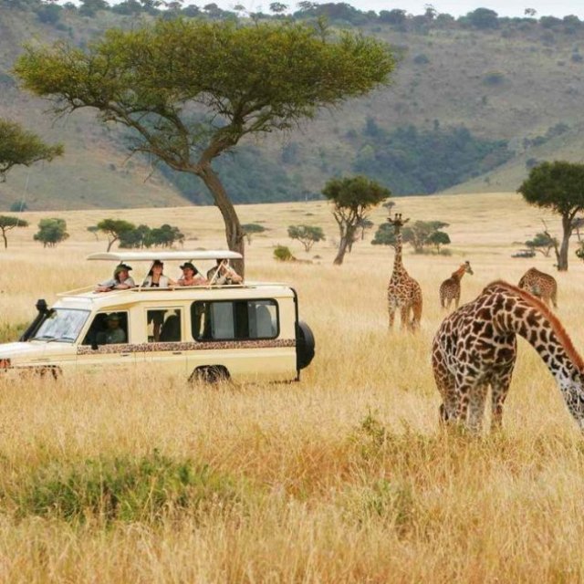 Almighty Kilimanjaro