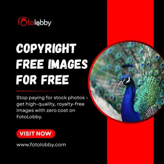 Copyright Free Images for Free