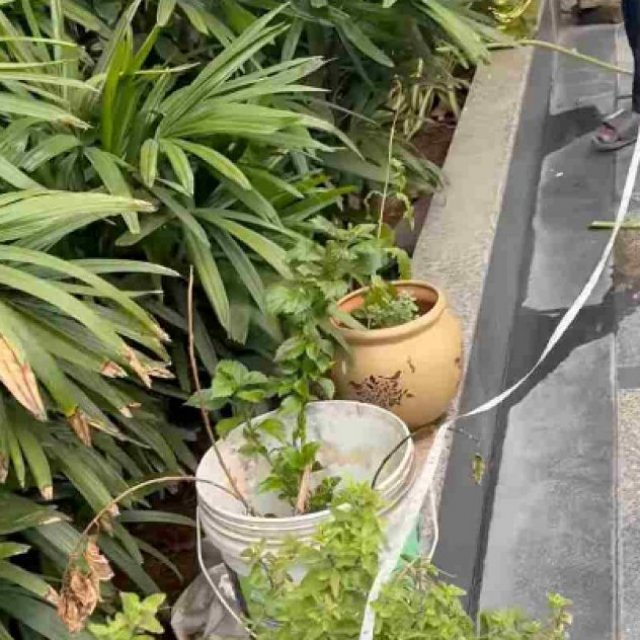 Vadodara Landscaping Company