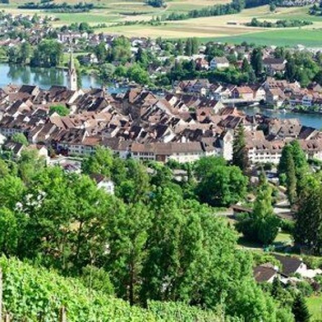 Swiss Private Tour