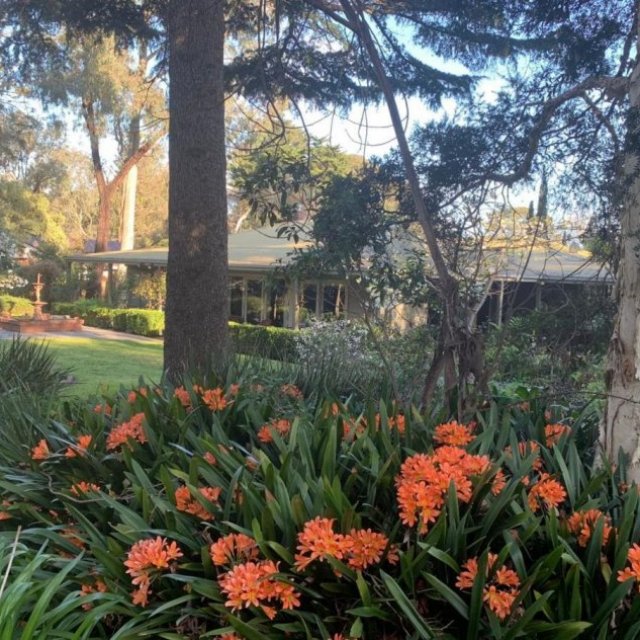 Treetops Bed & Breakfast