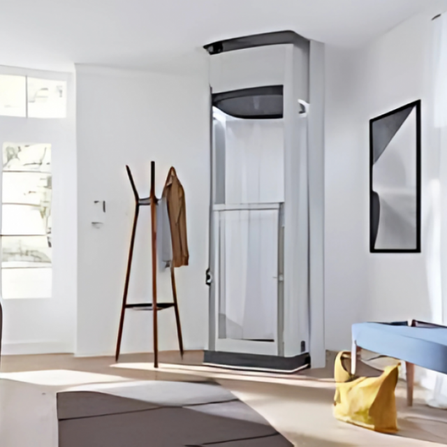 Small Home Lift - Compact, Stylish & Accessible Vertical Mobility