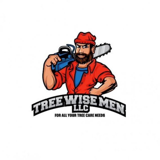 Tree Wise Men LLC