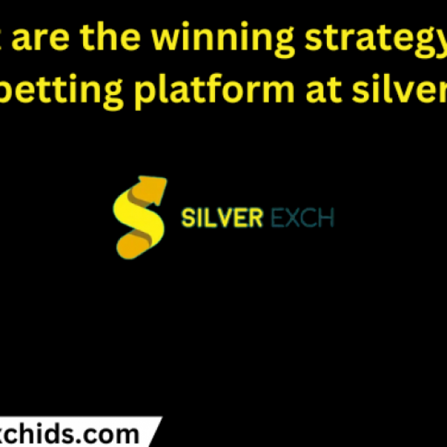 Silverexch: India's Best Cricket Betting ID Provider