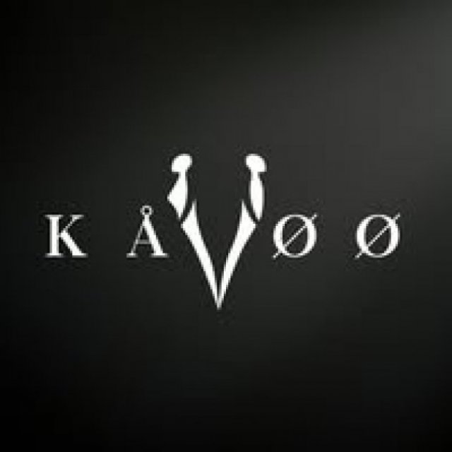 KAVOO APPAREL INC