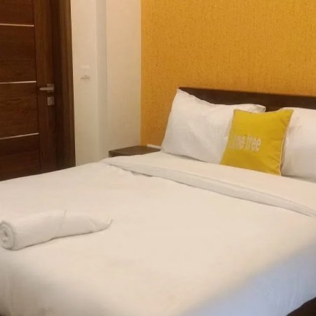 1BHK Apartment for Monthly Rental Gurgaon - Lime Tree Stay