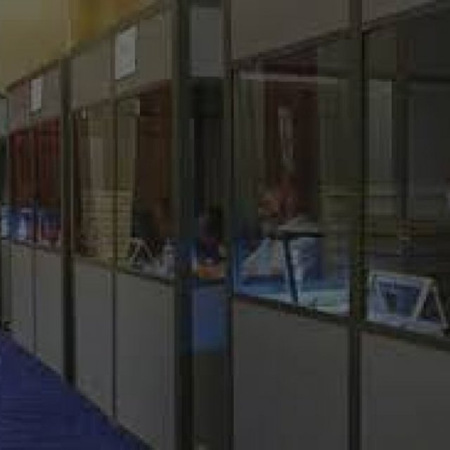 Professional Interpreting Services