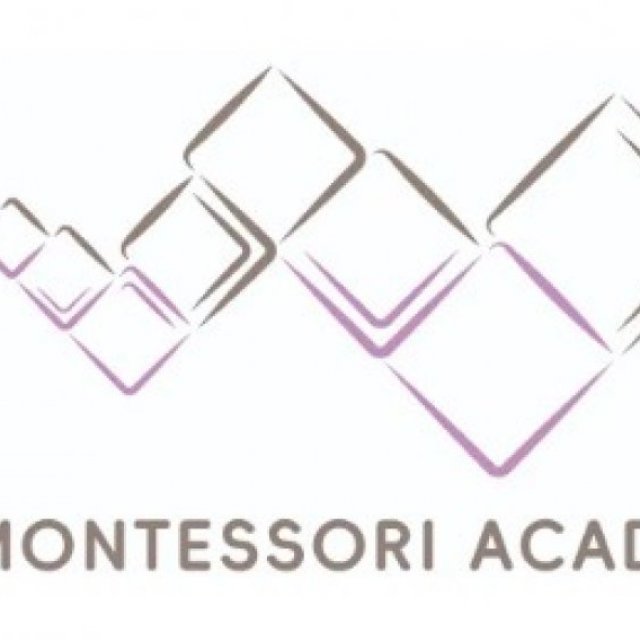 elmhurst montessori preschool