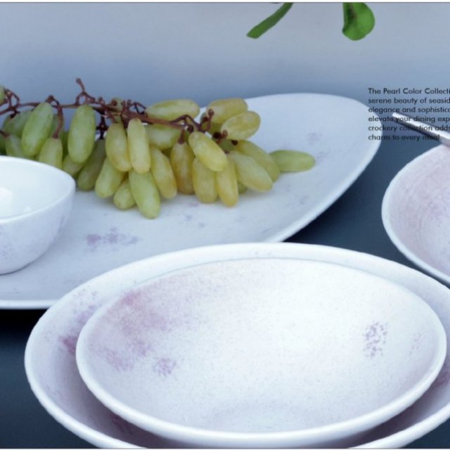 Orchid Dinex: Hotel Crockery and Catering Supplier