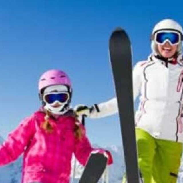 Skicab