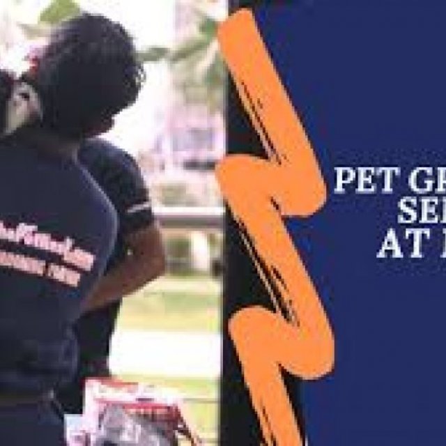 ThePetNest