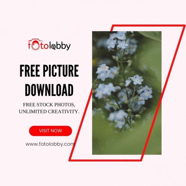 Free Picture Download