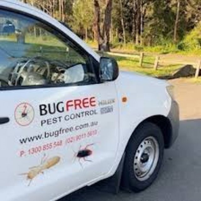 Pest Control in Penrith - Bug Free Pest Control