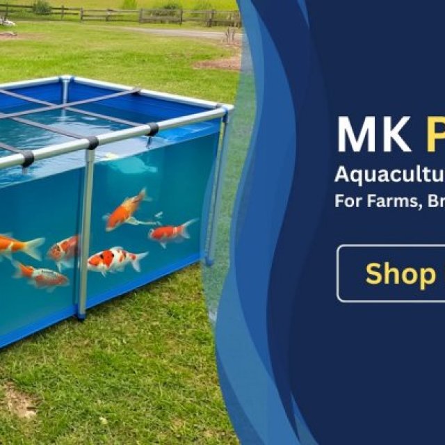 MK Aquarium Store